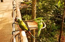 Bird Park General Admission Ticket and Tour