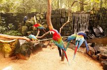 Bird Park General Admission Ticket and Tour
