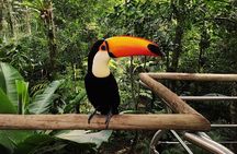 Bird Park General Admission Ticket and Tour