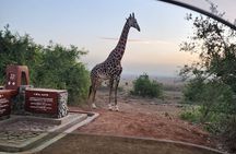 3 Days - 2 Nights Maasai Mara from Nairobi