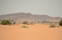 Agadir Desert Tour 4x4 with lunch