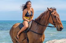 Dunn’s River Falls & Horseback Ride n Swim Guided Tour In Jamaica
