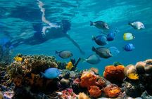 Short Excursion 4-Hour Party Catamaran and Snorkeling
