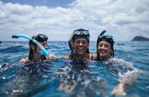 Short Excursion 4-Hour Party Catamaran and Snorkeling