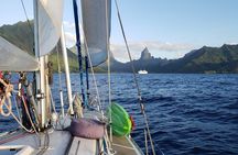 Private Sunset Sailing Excursion Sail yourself Mori Ora