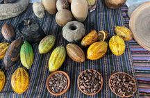 Coffee and Gastronomic Bike Tour in Antigua