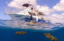 Waikiki Turtle Canyon Snorkeling Tour with Hula Show