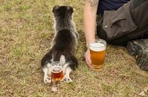 1.5-Hour Beer and Puppies Guided Experience in Fairbanks