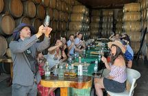 Private Tequila Tour with Local Expert