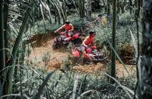 ATV Quad Bike Bali with Waterfall Gorilla Cave and Lunch