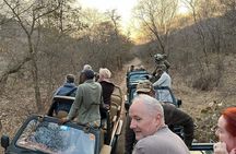 Ranthambore Safari Admission tickets : Choose your Option