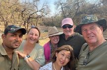 Ranthambore Tiger Safari In Canter 20 Seater Top Zone visits