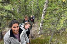 Mountain Hiking Tour in Denali