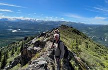 Mountain Hiking Tour in Denali