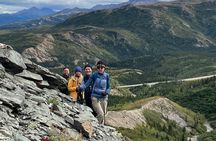 Mountain Hiking Tour in Denali