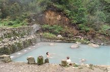 Bandung Tour Volcano, Hotsprings, Mud, Tea, Lunch all Included