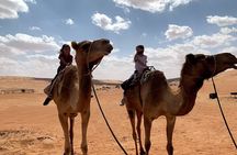  Desert Guided Overnight Camp Tour