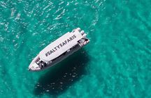 Hervey Bay: Half Day Whale watching & Island Stop Tour