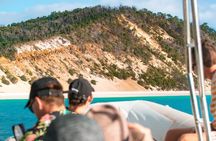 Hervey Bay: Half Day Whale watching & Island Stop Tour