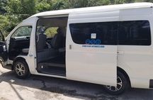 Bob Marley Private Tour from Montego Bay 