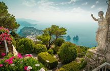 Capri by Land and Sea: Small-Group Tour from Naples