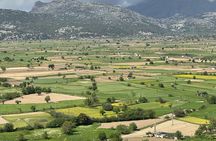 From Heraklion Private Day Tour Knossos-Lassithi Plateau