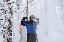 1 Hour Easy Snowmobile Safari in Levi