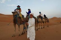 Circuit The Great South from Agadir 4 Days