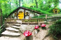 Full Day Tour in Sapanca from Istanbul