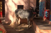 2 Day Private Mystical Varanasi Tour