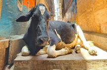 2 Day Private Mystical Varanasi Tour