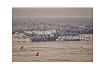 2 Day Private Mystical Varanasi Tour