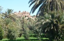 Private Day Trip of Taroudant & Tiout from Agadir
