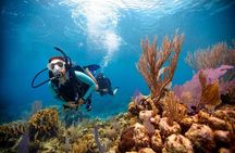 Scuba Diving at Jumeirah Dubai with Private Transfers
