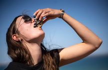 West Coast Mussels & Oysters On The Beach Private Tour