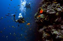 Scuba Diving at Jumeirah Dubai with Private Transfers