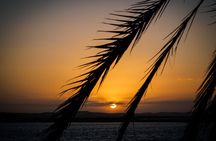 3 Day Siwa Oasis and Western Desert Private Trip