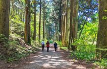Private Hakone Tour - View of Mt. Fuji, Nature and Culture