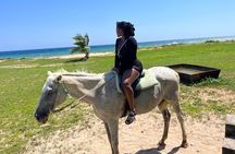 Private Horseback Ride and Swim from Montego Bay