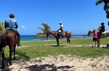 Private Horseback Ride and Swim from Montego Bay
