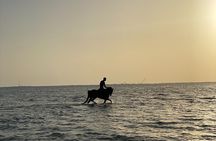 Private Horse Riding Experience at Red Sea