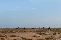 Private Horse Riding Experience at Red Sea