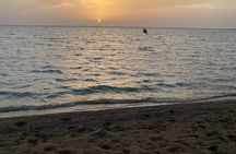 Private Horse Riding Experience at Red Sea
