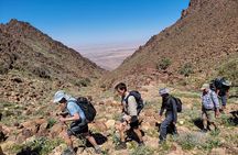 6 Days Guided Trek From Dana to Petra (Group)
