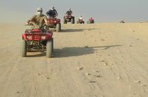 Discover the Best of Sharm : Quad, Camel, Dinner and Shows