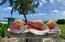 Providenciales Off-road ATV Adventure