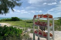 Providenciales Off-road ATV Adventure