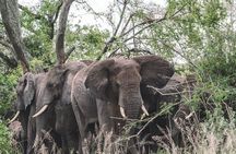 2 Days One Night Private Tour in Tarangire National Park 