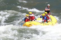 Whitewater Rafting on the Salmon River - Half Day