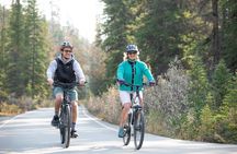 Small Group E-Bike Tour the Banff Local Explorer
